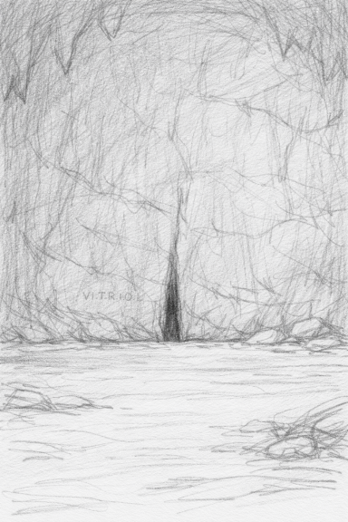 The Narrow Path